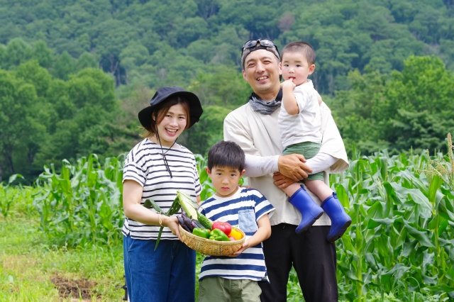 生命力溢れる野菜の収穫は、大きな喜び